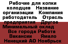 Рабочие для копки колодцев › Название организации ­ Компания-работодатель › Отрасль предприятия ­ Другое › Минимальный оклад ­ 1 - Все города Работа » Вакансии   . Ямало-Ненецкий АО,Ноябрьск г.